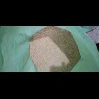 نیم دانه درجه۲