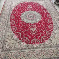 ۱۲متری ۵۰۰شانه لاکی