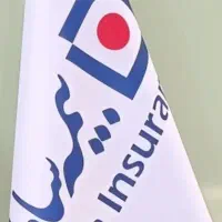 همکاری ایده آل درآمد و فرصتی بینظیر