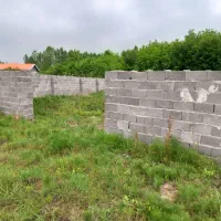 زمین باغی/ گیلان / خشکبیجار/ سرمایه گذاری عالی