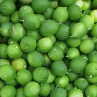 فروش لیمو ترش وضایعات خرما