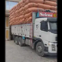 خریدار کاه