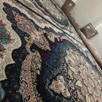اجاره آپارتمان ۹۰ متر تک واحدی دوخوابه مرتضی گرد