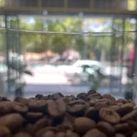 قهوه شکلات پودر
