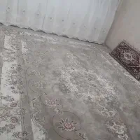 سه عدد قالی ۱۲ متری به فروش رسید