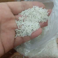 برنج کشت دوم درجه یک