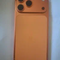 17 pro max