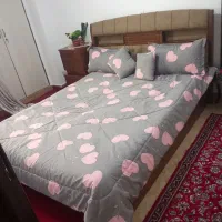 تخت خواب همراه باپاتختی