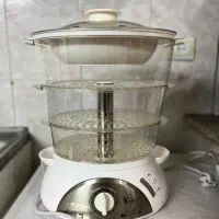 بخار پز ویداس