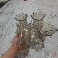لاله لوستر۴عدد بلندشامپاینی