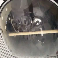 کیف حمل پرنده