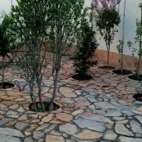 شرکت خدماتی ونظافتی حسینی