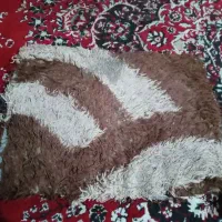 شادگان|اسب و تجهیزات اسب‌سواری|شادگان, |دیوار