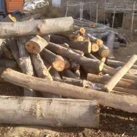 خرید چوب ضایعات باغی و نجاری وبرشکاری