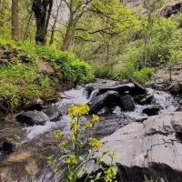 تور طبیعت گردی
