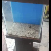 آکواریوم سایز بزرگ