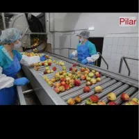 چند نیروی اقا و‌خانوم  جهت بسته بندی