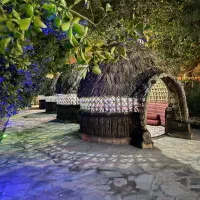 آشپز-فست فود-آماده سازی-اردگی-نیروی ساده