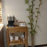 کافی بار نو