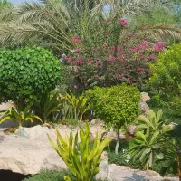 زمین رباط کریم