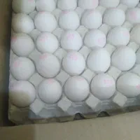 تخم مرغ