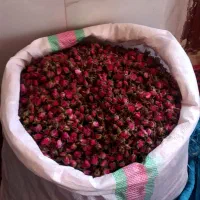 غنچه لوکس لاله زاری