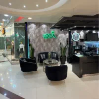 کار اموز خانم