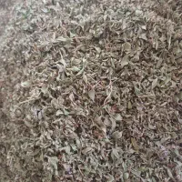آویشن  کوهی معطر