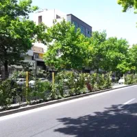 پلاک-زمین-300-متری-ارتفاع-دار-معاوضه-با-آپارتمان