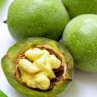 گردو تر
