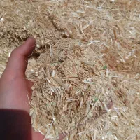 کاه جو|لوازم جانبی حیوانات|زند, |دیوار
