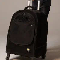 غذا خشک