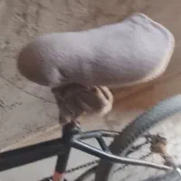 دوچرخه 20 سالمه
