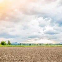 فروش-زمین-برای-سوله-کارگاه-کارخانه-گلخانه