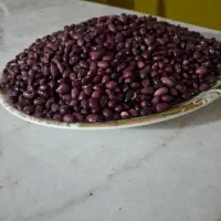 لوبیا قرمز