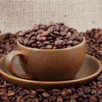 استخدام باریستا کافی من قهوه فروشی