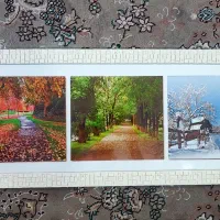 دو عدد تابو