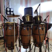 پرکاشن ماینل