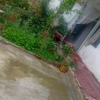 ملک کلنگی در رشت قاسمیه 2