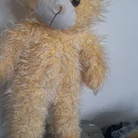 عکس شاسخی وسالم درحده نو