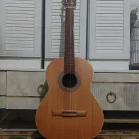 گیتار پارسی m5 کاملا نو