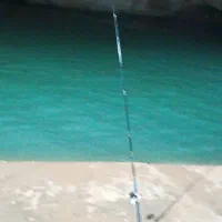 لنسر ماهی گیری