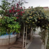 معاوضه-ملک-یزد-با-کرمان