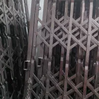 حفاظ آکارادونی محافظ آکارایدونی
