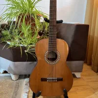 گیتار آلمانی هافنر