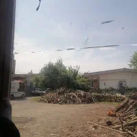 منشی یا کارگر آقا و خانم جهت کار در ایستگاه چوب