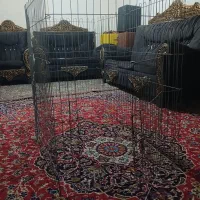 قفص در لوازم جانبی حیوانات
