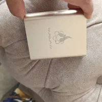 پاور بانک