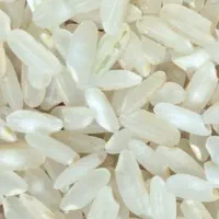 برنج کامفیروزی