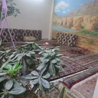 استخدام نیرو اقا و خانم